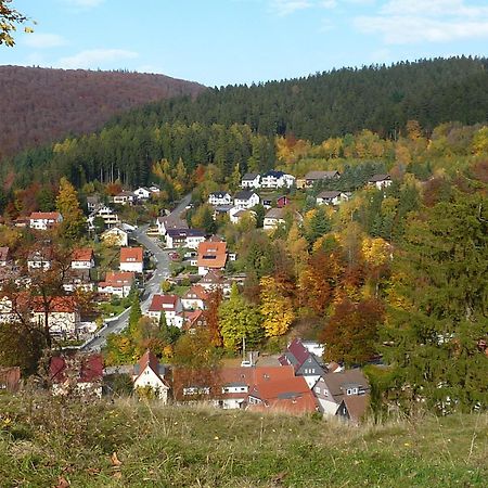 Pension Rheingold Garni Bad Grund Exteriör bild