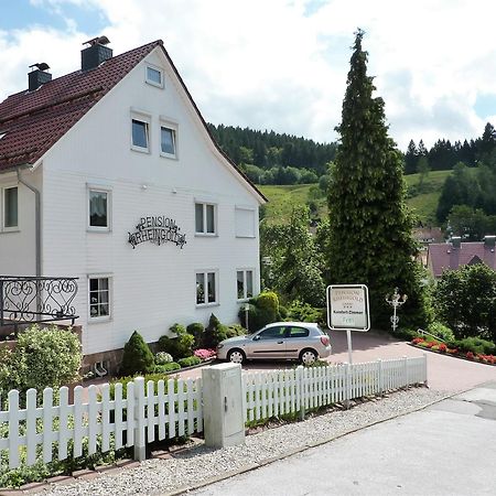Pension Rheingold Garni Bad Grund Exteriör bild