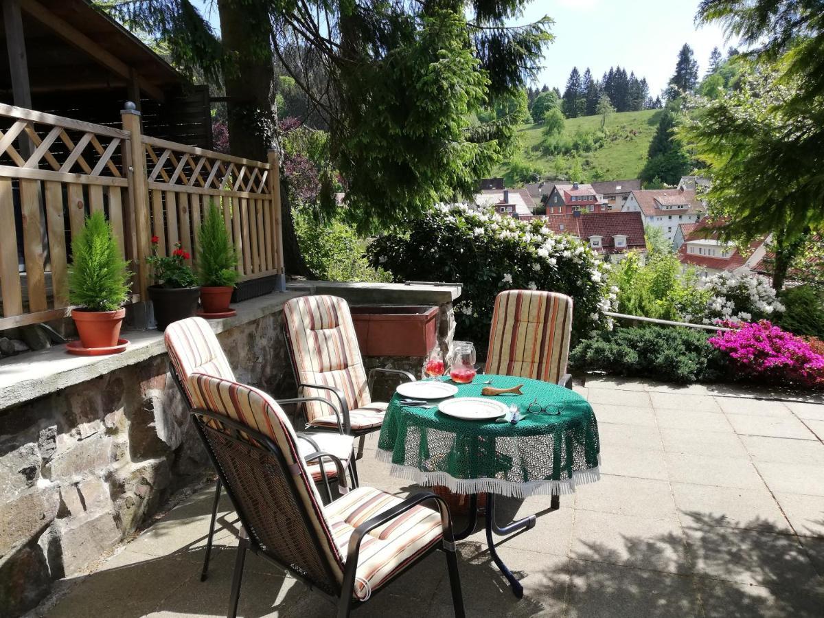 Pension Rheingold Garni Bad Grund Exteriör bild