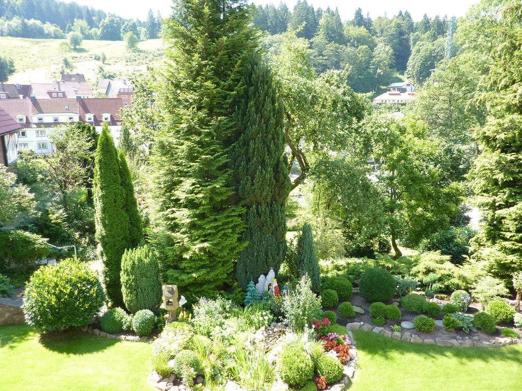 Pension Rheingold Garni Bad Grund Exteriör bild