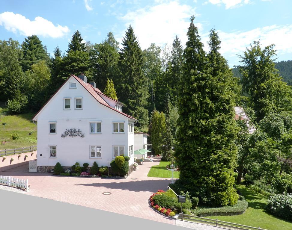 Pension Rheingold Garni Bad Grund Exteriör bild