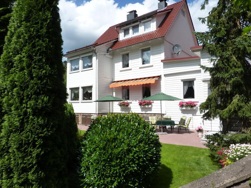 Pension Rheingold Garni Bad Grund Exteriör bild