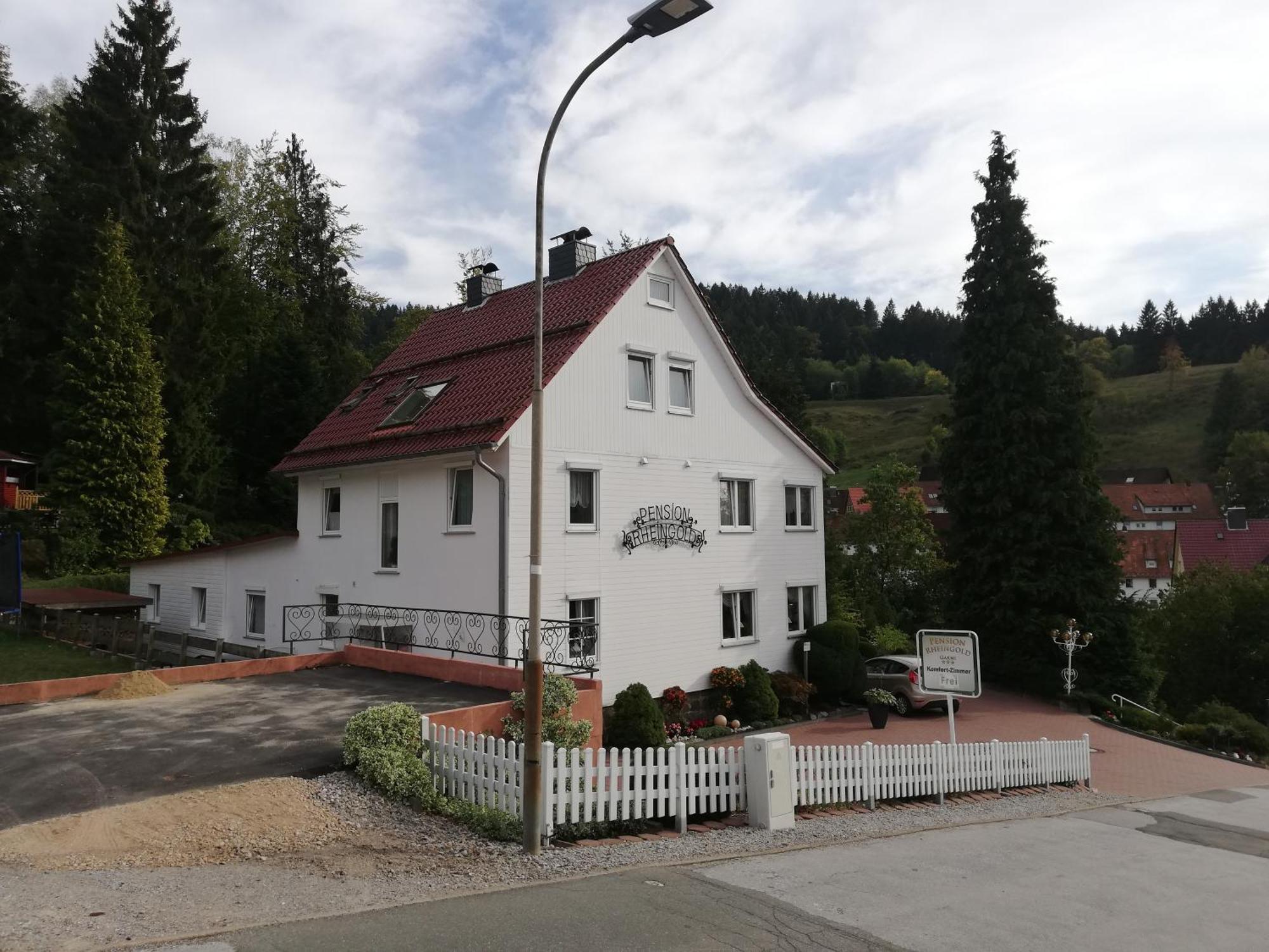 Pension Rheingold Garni Bad Grund Exteriör bild