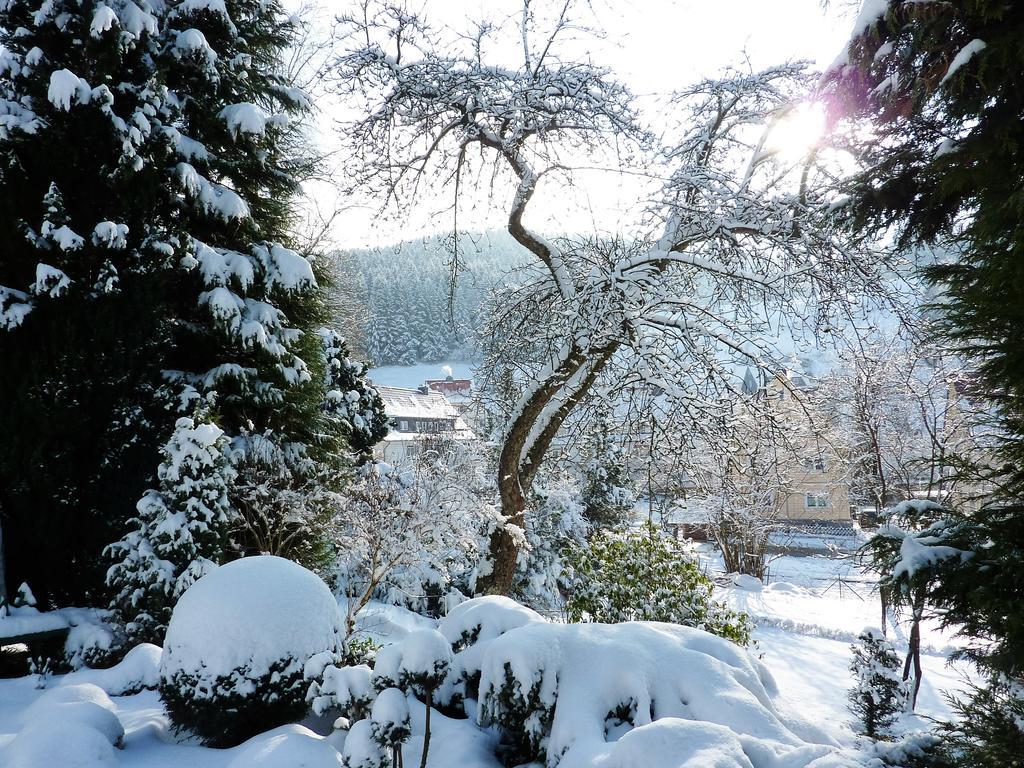 Pension Rheingold Garni Bad Grund Exteriör bild