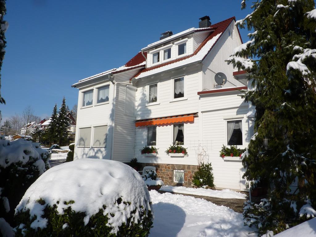 Pension Rheingold Garni Bad Grund Exteriör bild