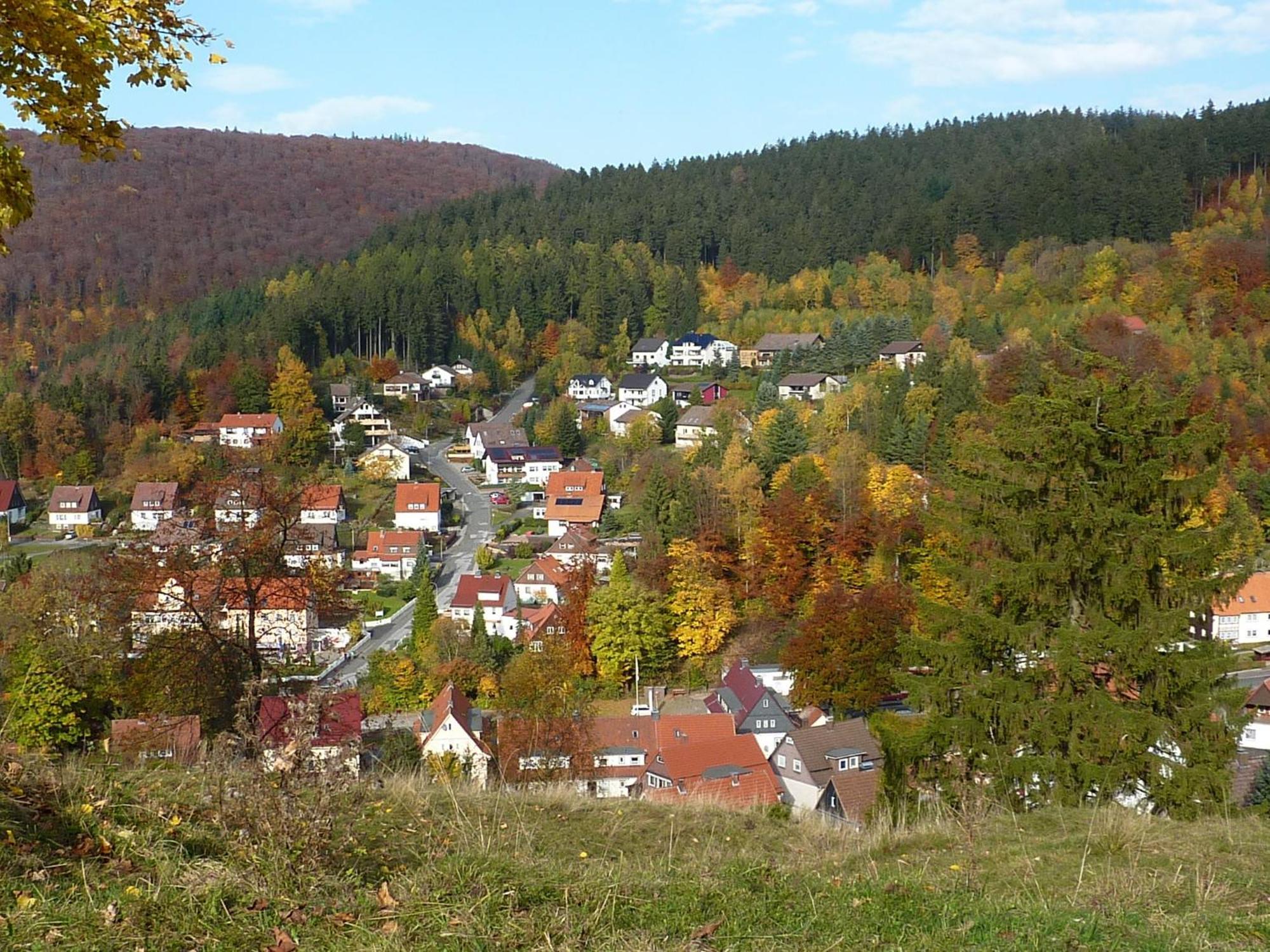 Pension Rheingold Garni Bad Grund Exteriör bild
