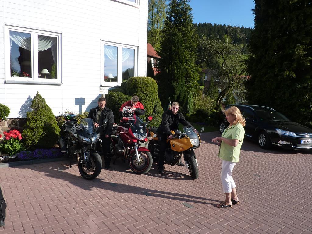 Pension Rheingold Garni Bad Grund Exteriör bild