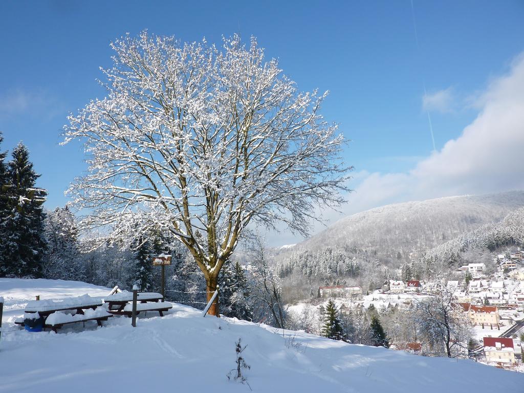Pension Rheingold Garni Bad Grund Exteriör bild