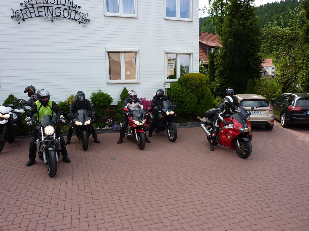 Pension Rheingold Garni Bad Grund Exteriör bild