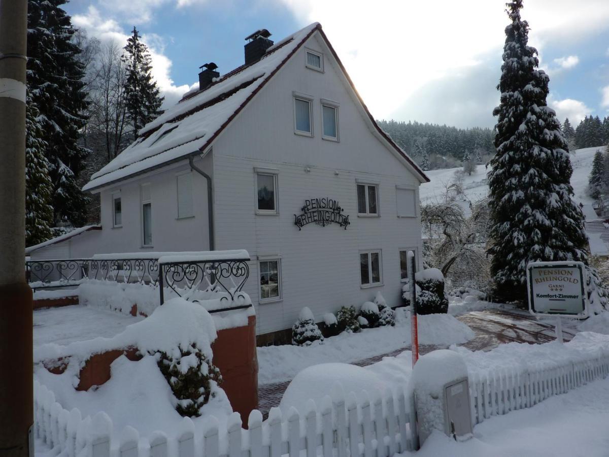 Pension Rheingold Garni Bad Grund Exteriör bild